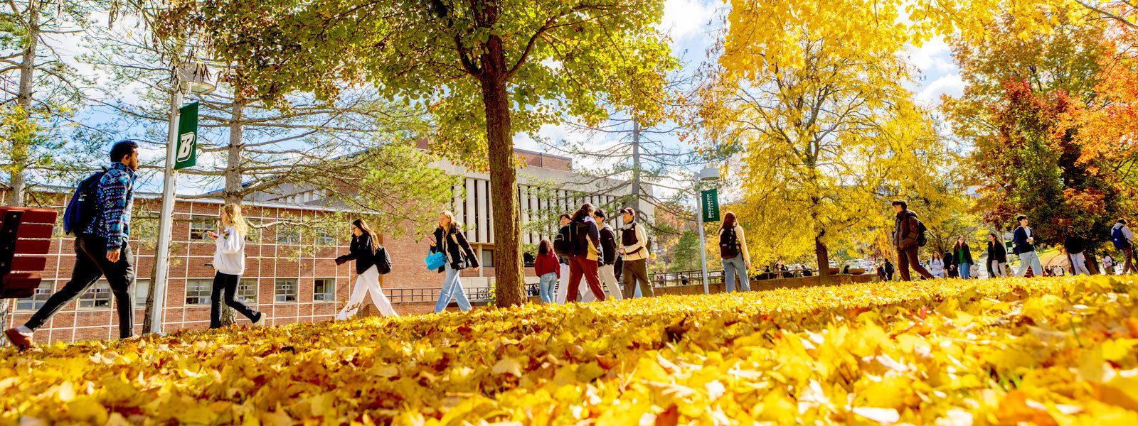 Binghamton University 校园